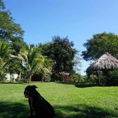 Mana Kai Camping&Cabins San Ignacio Exterior foto
