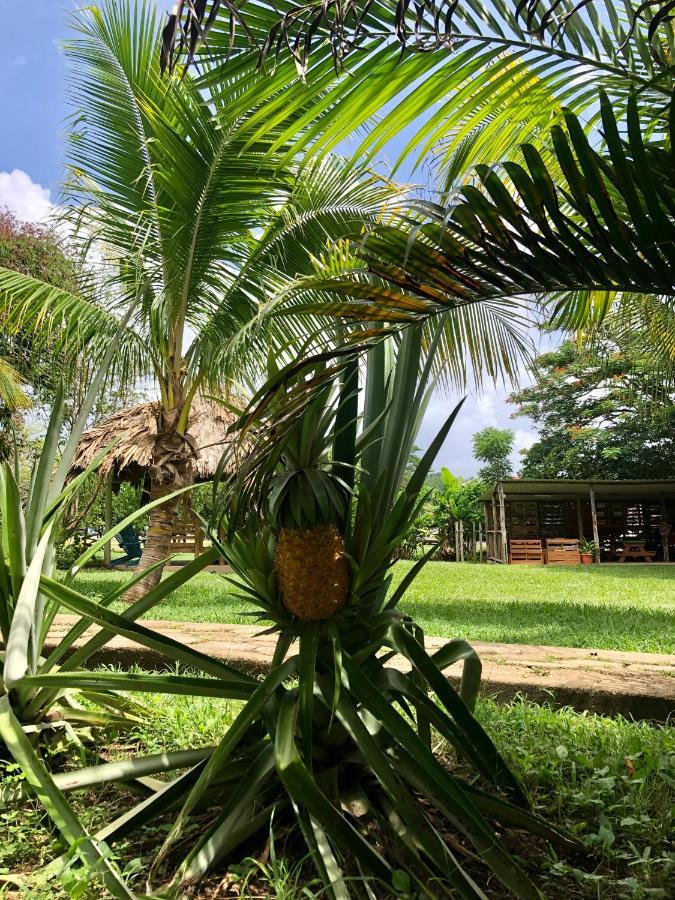 Mana Kai Camping&Cabins San Ignacio Exterior foto