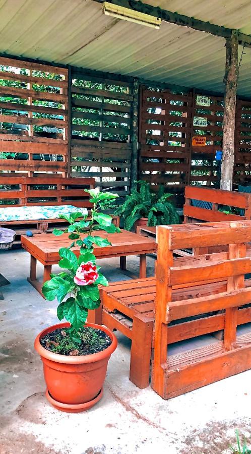 Mana Kai Camping&Cabins San Ignacio Exterior foto
